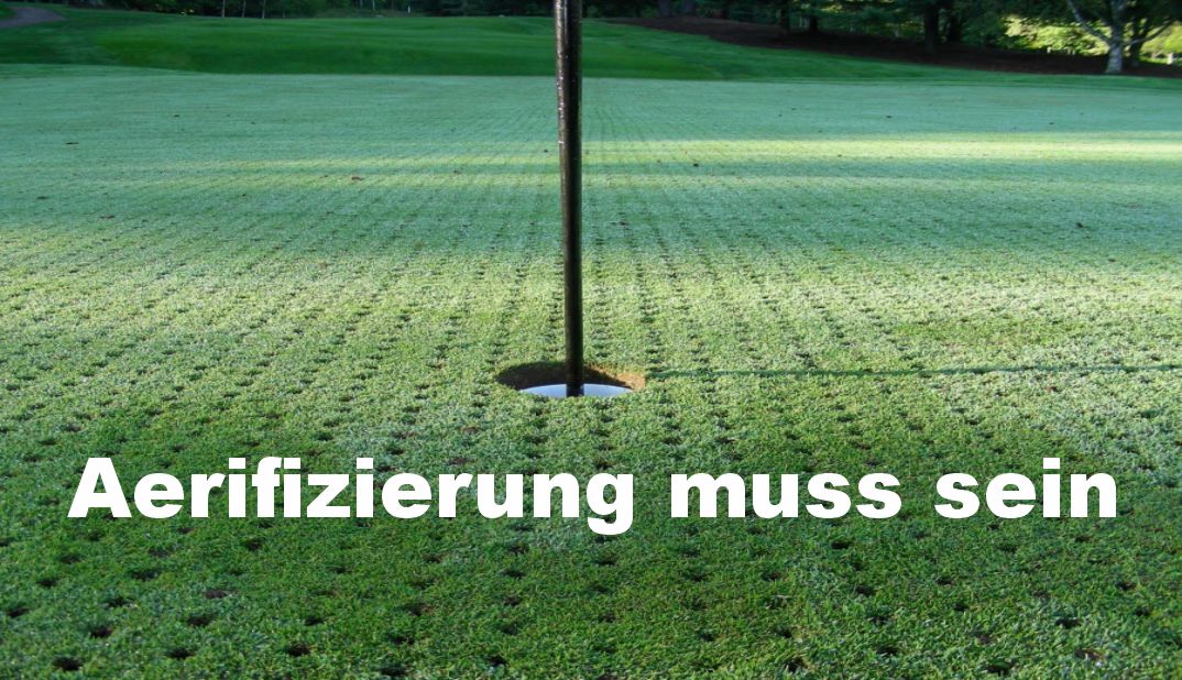 Mehr über den Artikel erfahren Wann sind unsere Grüns wieder top?